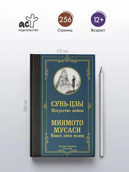 Искусство войны. Книга пяти колец - фото 4