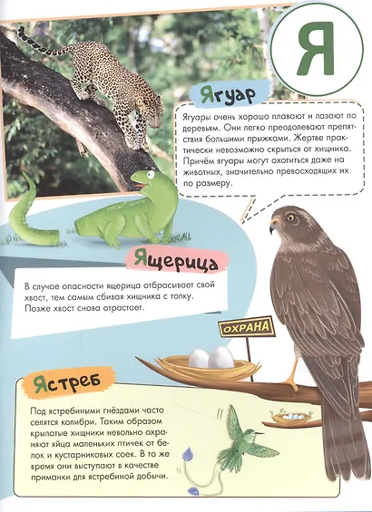 Азбука-энциклопедия интересных фактов о живвотном мире - фото 3