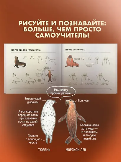 Школа рисования для начинающих: милые животные - фото 9