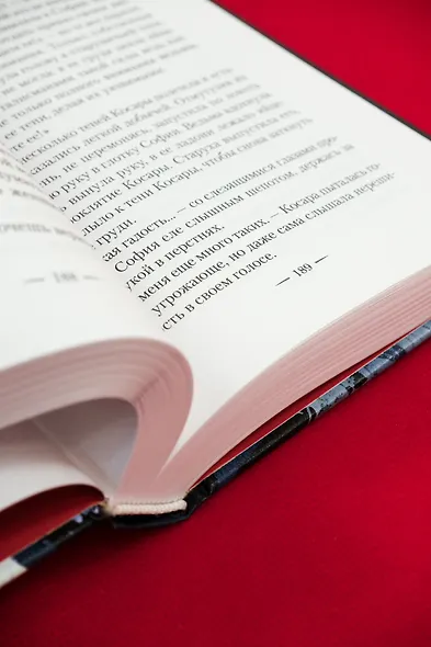 Ведьмин справочник по чудовищам. Книга 2. Черные ночи - фото 7