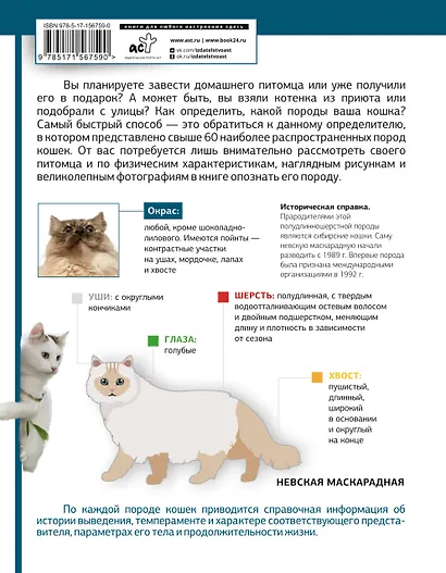 Определитель кошек. Физические характеристики и особенности породы - фото 2