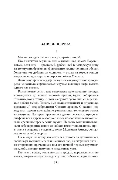 Черный тополь. Сказания о людях тайги. Книга 3 - фото 9