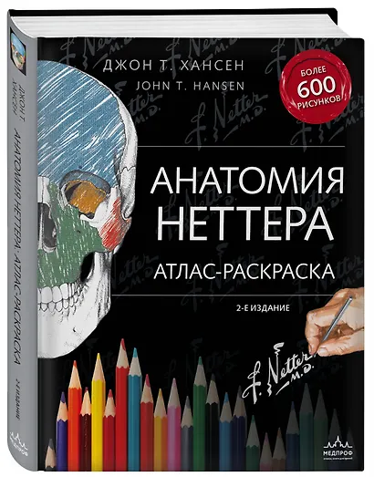 Анатомия Неттера: атлас-раскраска - фото 3