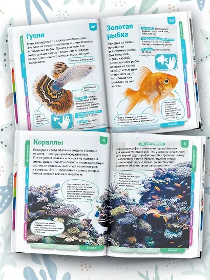 Подводный мир - фото 4