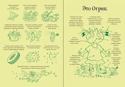 Огрики из Грязьбурга - фото 5