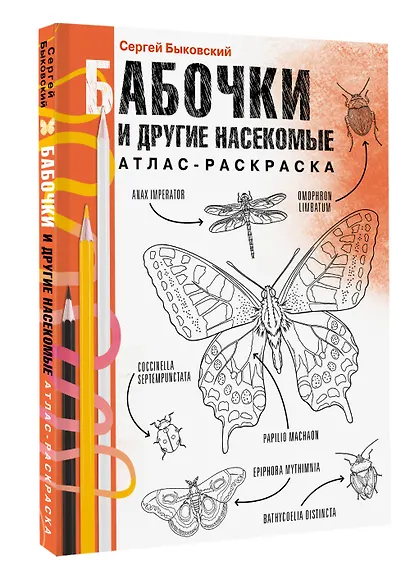 Бабочки и другие насекомые - фото 3