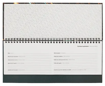 Планинг недат. 56л "Listoff" блеск металла, настольный, иск.кожа, 7БЦ, глянц.лам, евроспираль, офсет - фото 3