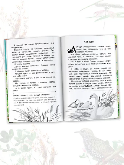 Бюро лесных услуг - фото 7