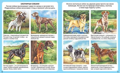 Домашние питомцы - фото 5