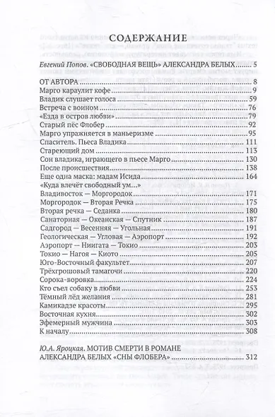 Сны Флобера - фото 2