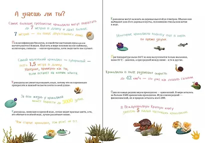 Я крокодил - фото 5