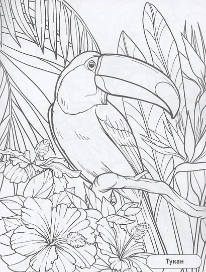 Птицы - фото 2