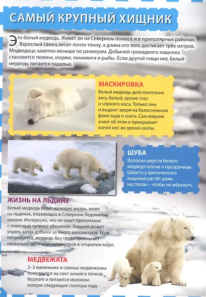 Животные мира - фото 2