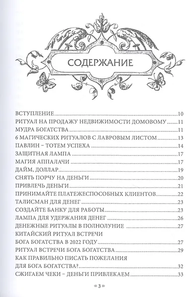 Гримуар Денег. Книга 3 - фото 2