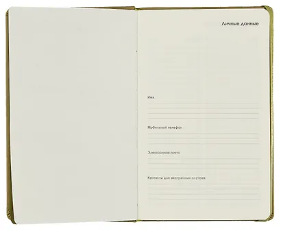 Ежедневник недат. А5 136л "JOY BOOK" оливковый, тв.переплет, резинка, ляссе - фото 3