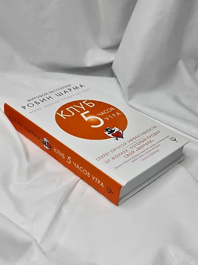 Клуб «5 часов утра». Секрет личной эффективности от монаха, который продал свой "феррари" - фото 8