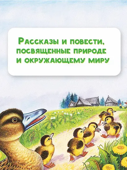 Лисичкин хлеб. Рассказы - фото 6