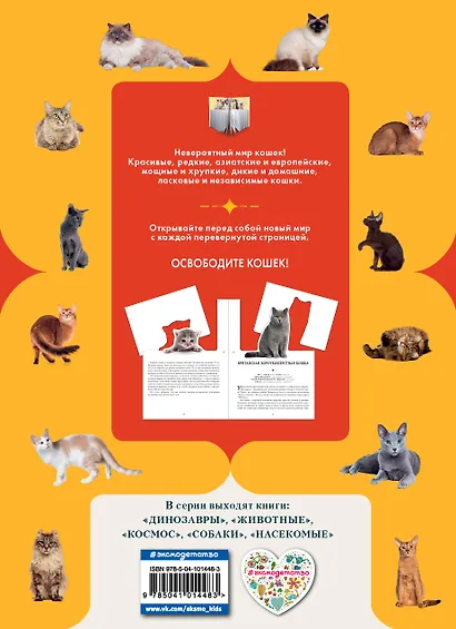 Кошки - фото 2