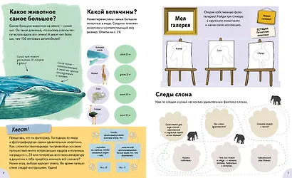 Животные такие разные - фото 2