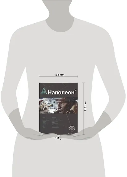 Наполеон 2. Книга вторая: Стать богом - фото 2