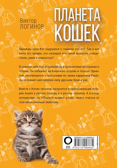 Планета кошек - фото 2