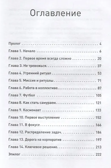 Сам себе босс. Бизнес-роман о бирюзовой компании - фото 2