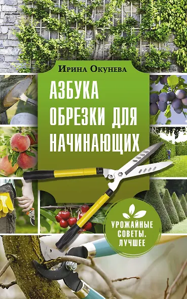 Азбука обрезки для начинающих - фото 1