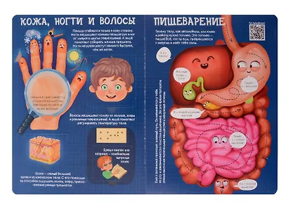 Энциклопедия с окошками. Как устроено твое тело - фото 5