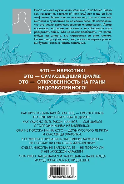 Шоколадная ворона - фото 2