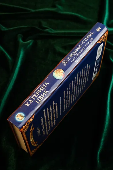 Все ведьмы – стервы, или Темных принцев мы (не) заказывали! - фото 8