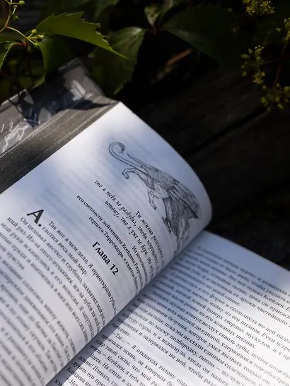 Ониксовый шторм (черный обрез) - фото 15