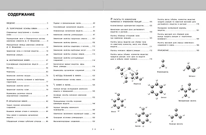 Подготовка к урокам, ОГЭ и ЕГЭ. Химия. Наглядный школьный курс - фото 6