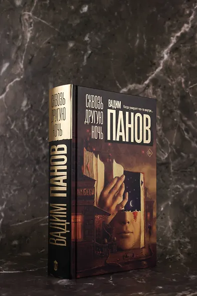 Сквозь другую ночь - фото 7