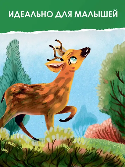 Большое путешествие маленькой птички - фото 4