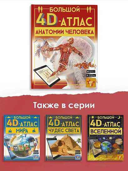 Большой 4D-атлас анатомии человека - фото 5