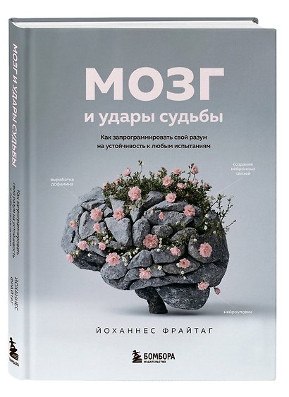 Мозг и удары судьбы. Как запрограммировать свой разум на устойчивость к любым испытаниям - фото 3