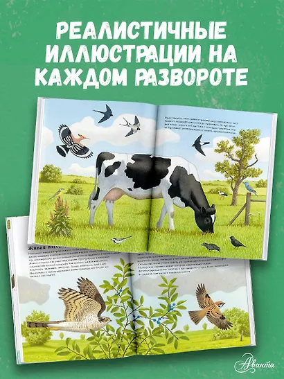 Животные рядом с нами - фото 5