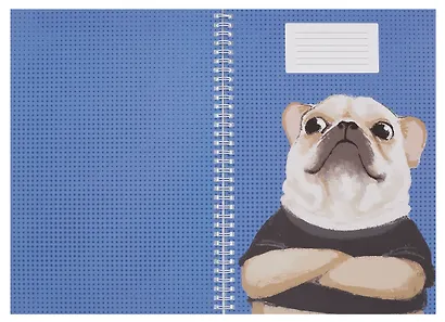 Тетрадь А4 96л кл. "Обнимашки" спираль, мел.картон, выб.лак, двойная обложка, офсет - фото 3