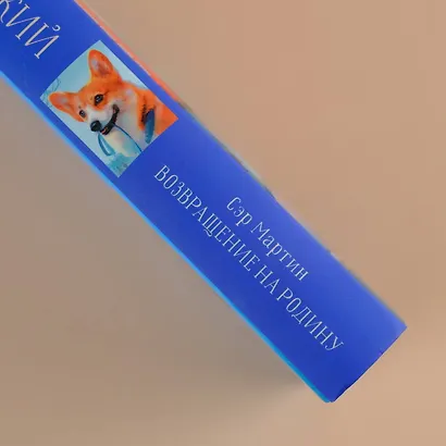 Сэр Мартин. Возвращение на родину - фото 5