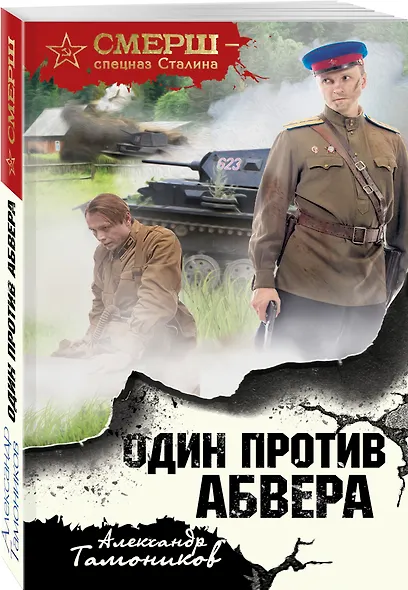 Один против абвера - фото 3