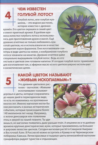 Цветы. Почемучкам и любознашкам - фото 4