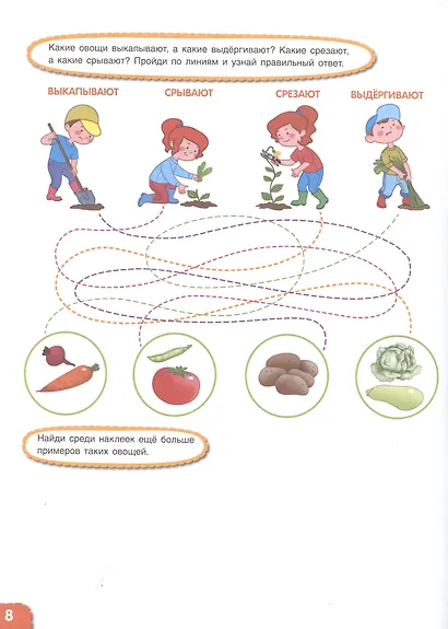Вспоминаем осень! Учимся видеть и понимать. Мой первый альбом наблюдений - фото 5