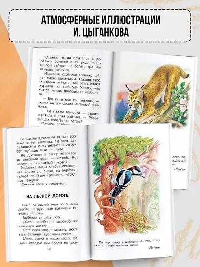 Листопадничек. Рассказы - фото 6