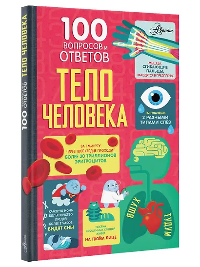 Тело человека - фото 3