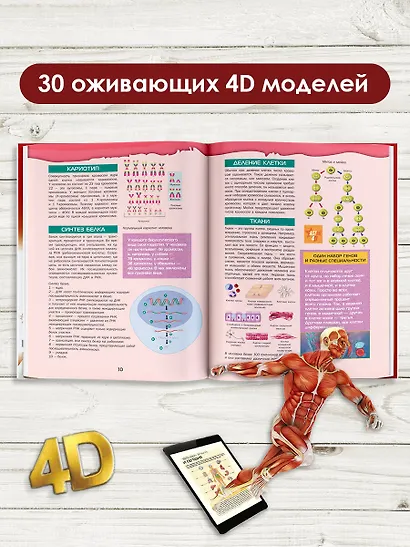 Большой 4D-атлас анатомии человека - фото 4