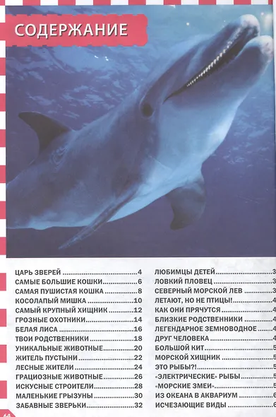 Животные мира - фото 2