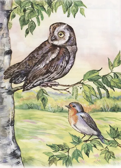 Отчего и почему - фото 3