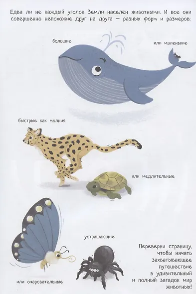 Животные с наклейками - фото 2