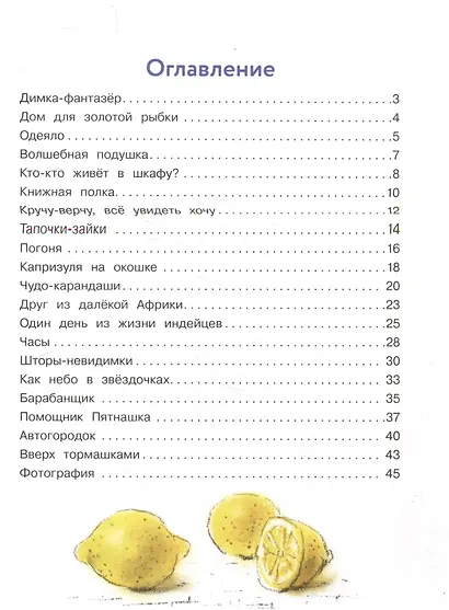 Про Димку, кота Зефира, любопытные тапочки и говорящее одеяло… - фото 4