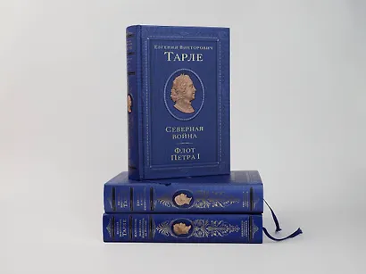 Северная война. Флот Петра I - фото 13